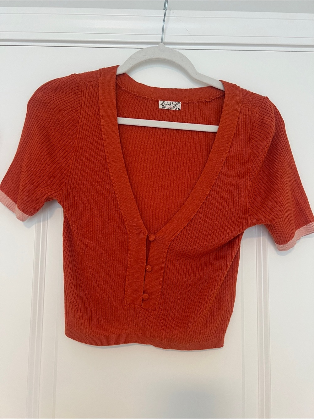 Free People Deep V Ribbed Crop Top in Rust Orange
